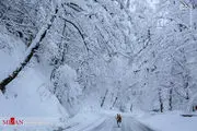 وضعیت جاده جنگلی عباس‌آباد پس از برف/ عکس