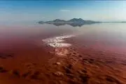 علت قرمز شدن آب دریاچه ارومیه چیست؟