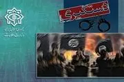 دستگیری ۱۰ تکفیری که قصد عملیات تروریستی در میان عزادارن حسینی داشتند