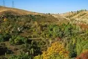 صدور شناسنامه برای ۳هزار باغ خصوصی پایتخت/آخرین وضعیت ثبت خیابان ولی عصر
