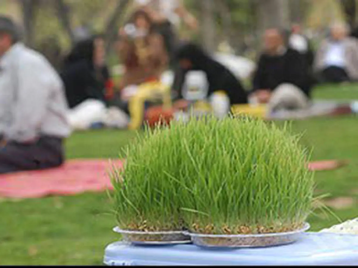 پای "سبزه چینی" به "سفره هفتسین" ایرانی باز شد /عکس
