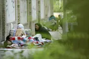 تنها 3.8 درصد زنان معتاد تحت پوشش درمان اعتیاد هستند