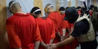 بازداشت ۱۱ داعشی در نینوا

