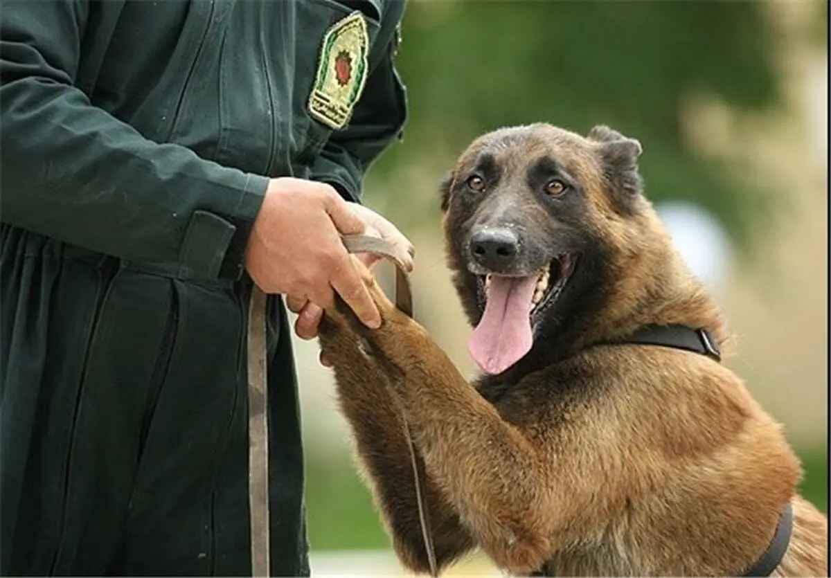 "سگ" تنها دستاورد برجام 