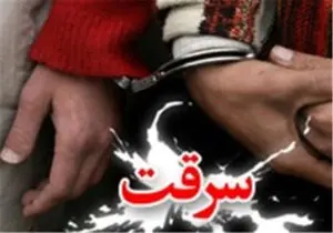 
کشف راز 42 فقره سرقت در شیراز
