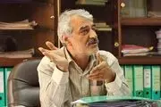 معاون سابق خصوصی سازی: واگذاری به صورت سهام ممتاز انحصار دولت در خودروسازی را حفظ می کند
