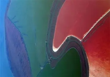 n00159399-r-b-007