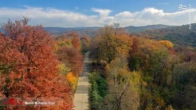 پاییز ساری