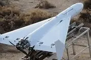 چین هم پهپاد ایرانی را کپی و با موفقیت آزمایش کرد 