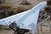چین هم پهپاد ایرانی را کپی و با موفقیت آزمایش کرد 