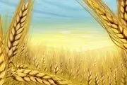 عملی که باعث آرامش روحی و جسمی می شود