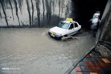 3394246_IMG_1310