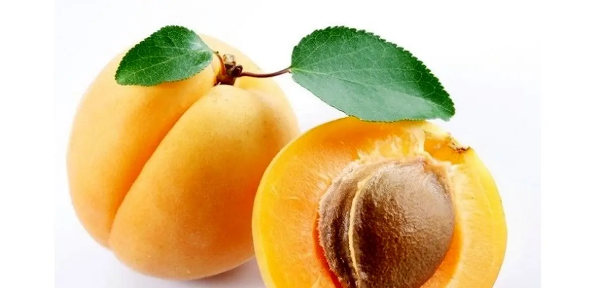 میوه طلایی تابستان را از دست ندهید