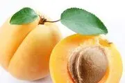 میوه طلایی تابستان را از دست ندهید