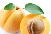 میوه طلایی تابستان را از دست ندهید