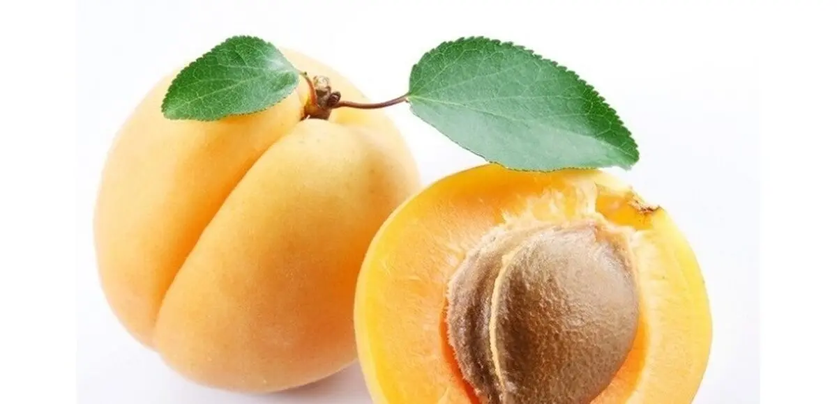 میوه طلایی تابستان را از دست ندهید
