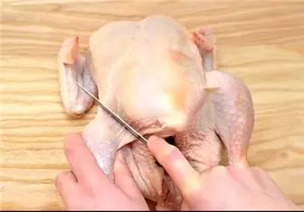تولید مرغ‌های صادراتی با قیمت کیلویی ۷ هزار تومان