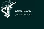 شبکه نفوذ و ترویج فساد،«پروژه عنکبوت» در فارس منهدم شد
