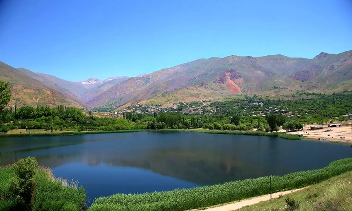 چهره متفاوت یک ماهی +عکس