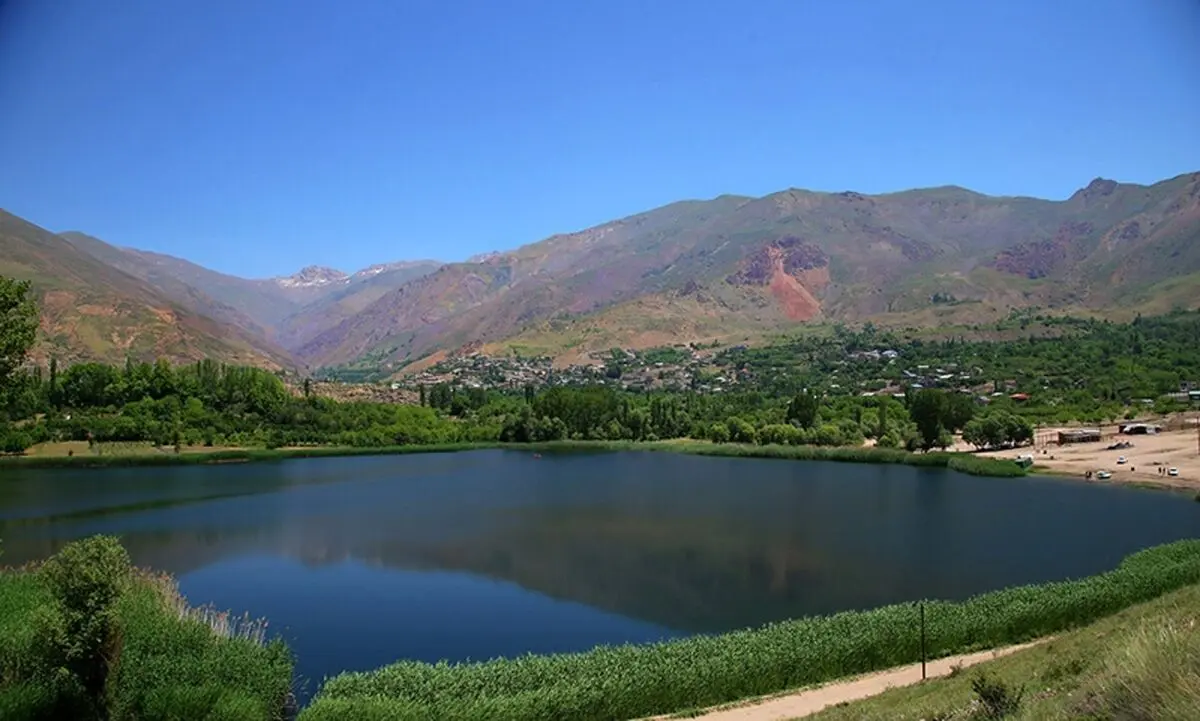 چهره متفاوت یک ماهی +عکس