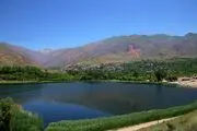 چهره متفاوت یک ماهی +عکس