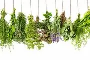 سبزی‌هایی که برای از بین بردن چربی خون مفید است!