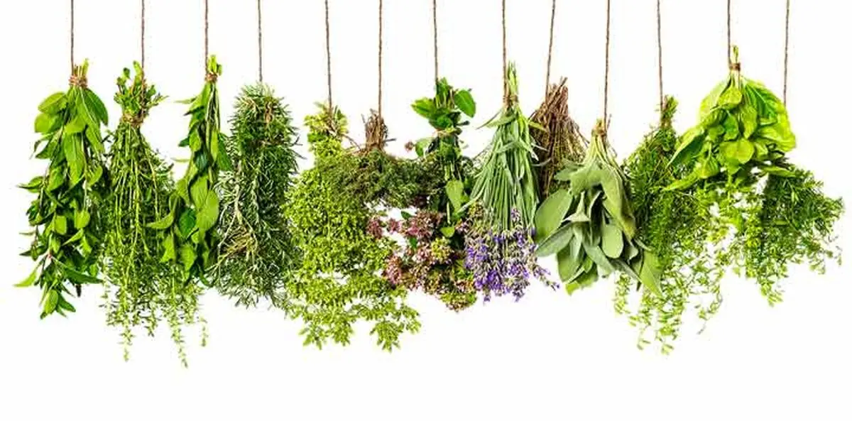 سبزیهایی که برای از بین بردن چربی خون مفید است!