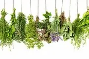 سبزی‌هایی که برای از بین بردن چربی خون مفید است!