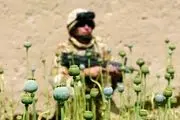 نیروهای اطلاعاتی آمریکا در افغانستان مواد مخدر قاچاق می کنند

