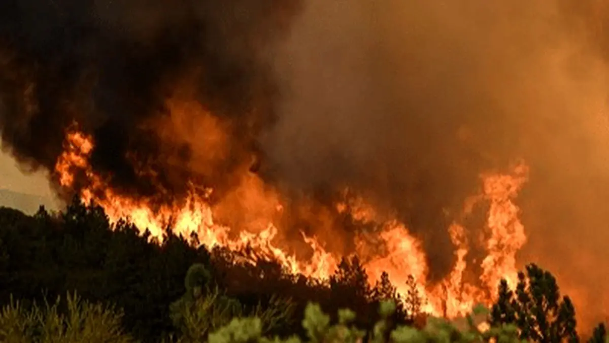 نقش زمین‌خواران در آتش‌سوزی الیت