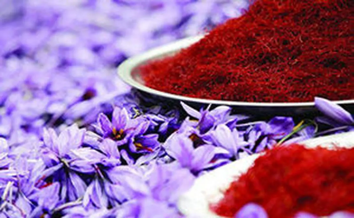 ثبات نسبی طلای سرخ در بازار