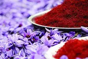 زعفران مثقالی چند؟