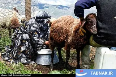 روز ملی روستا و عشایر/گزارش تصویری