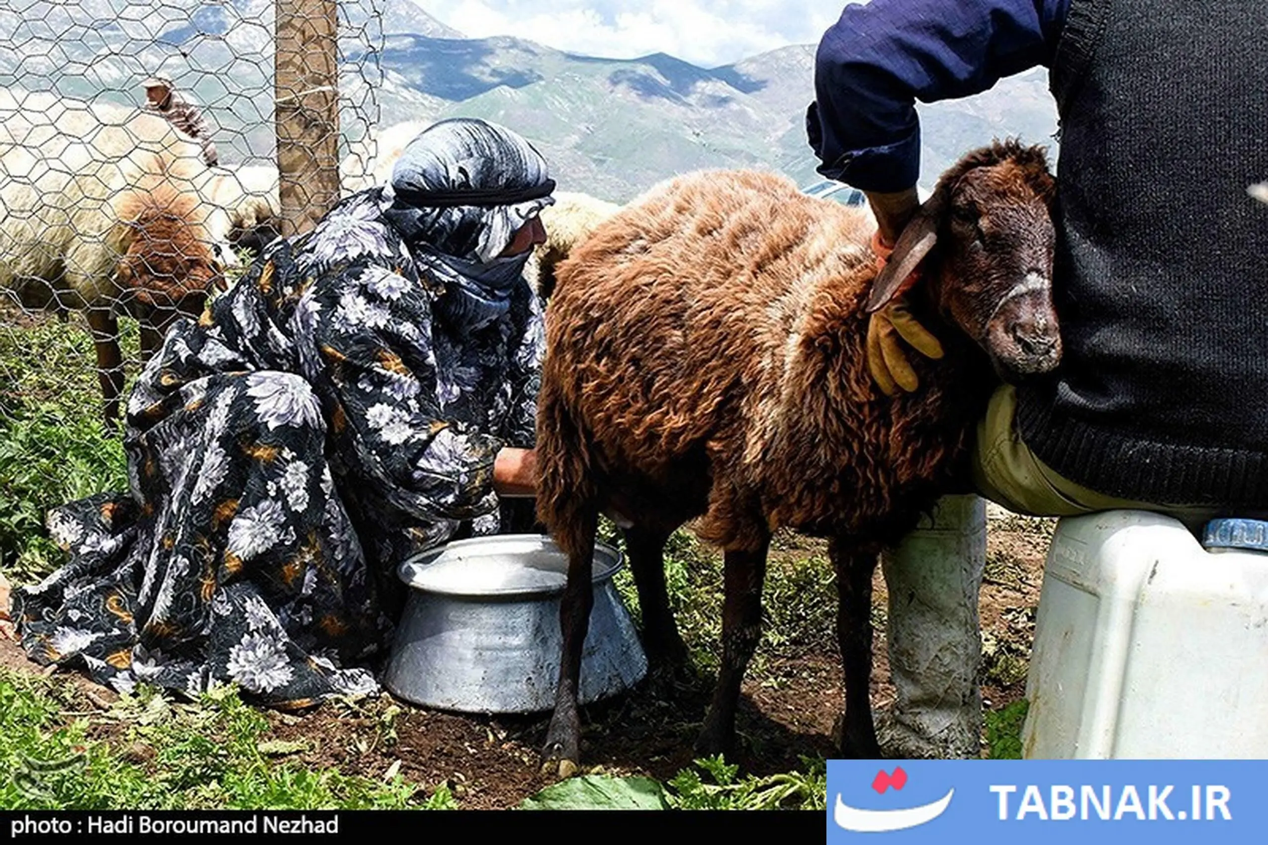 روز ملی روستا و عشایر/گزارش تصویری