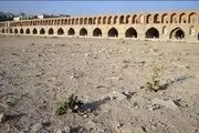خشکی زاینده رود تا اطلاع ثانوی