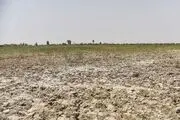 ایران در آستانه روبه رو شدن با خشکسالی است
