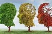 چرا آلزایمر در ایران جوان شد /دلایل کاهش سن ابتلا به آلزایمر 