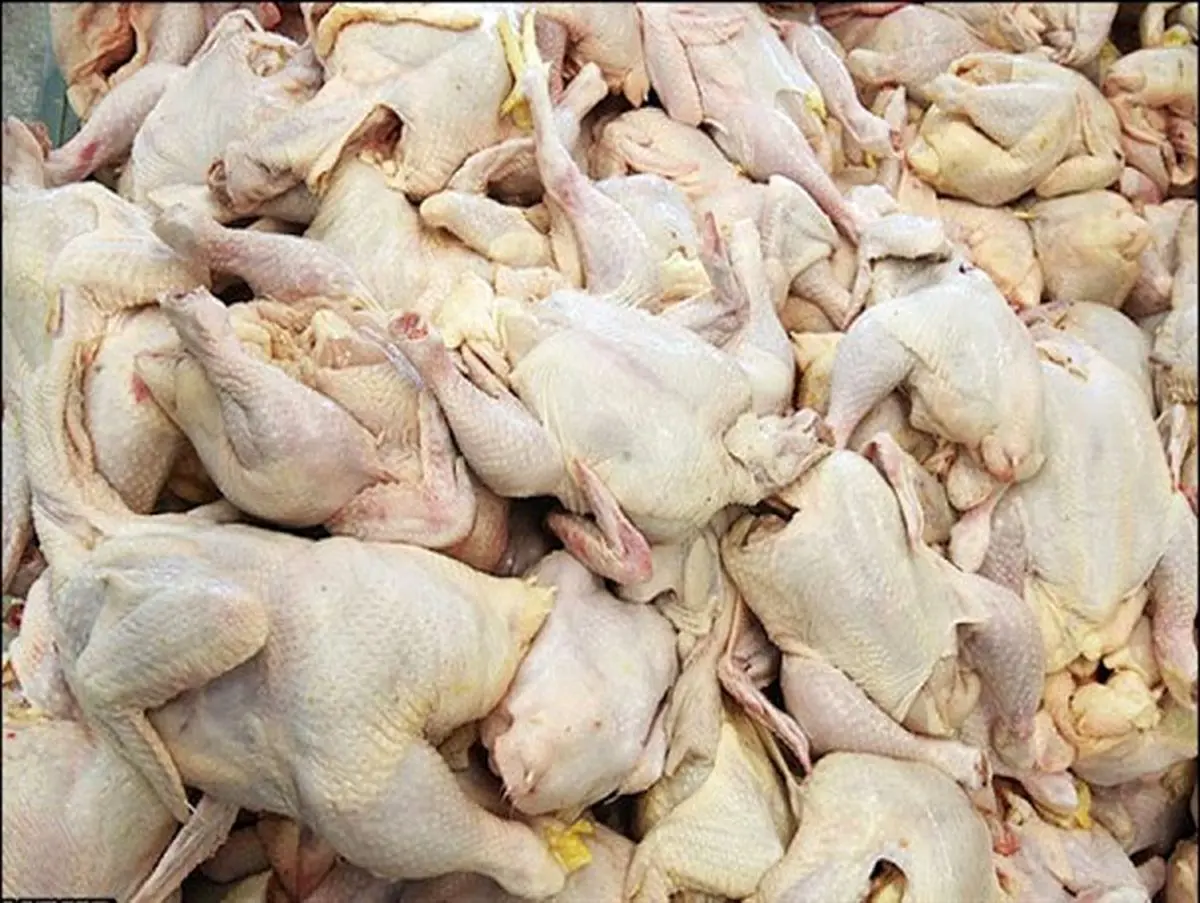 یکسال حبس جزای نگهداری و کشتار غیر مجاز مرغ زنده در زرین دشت
