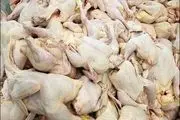 یکسال حبس جزای نگهداری و کشتار غیر مجاز مرغ زنده در زرین دشت
