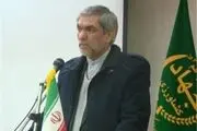 شترهای کشور شناسنامه‌دار می‌شوند 