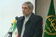 شترهای کشور شناسنامه‌دار می‌شوند 