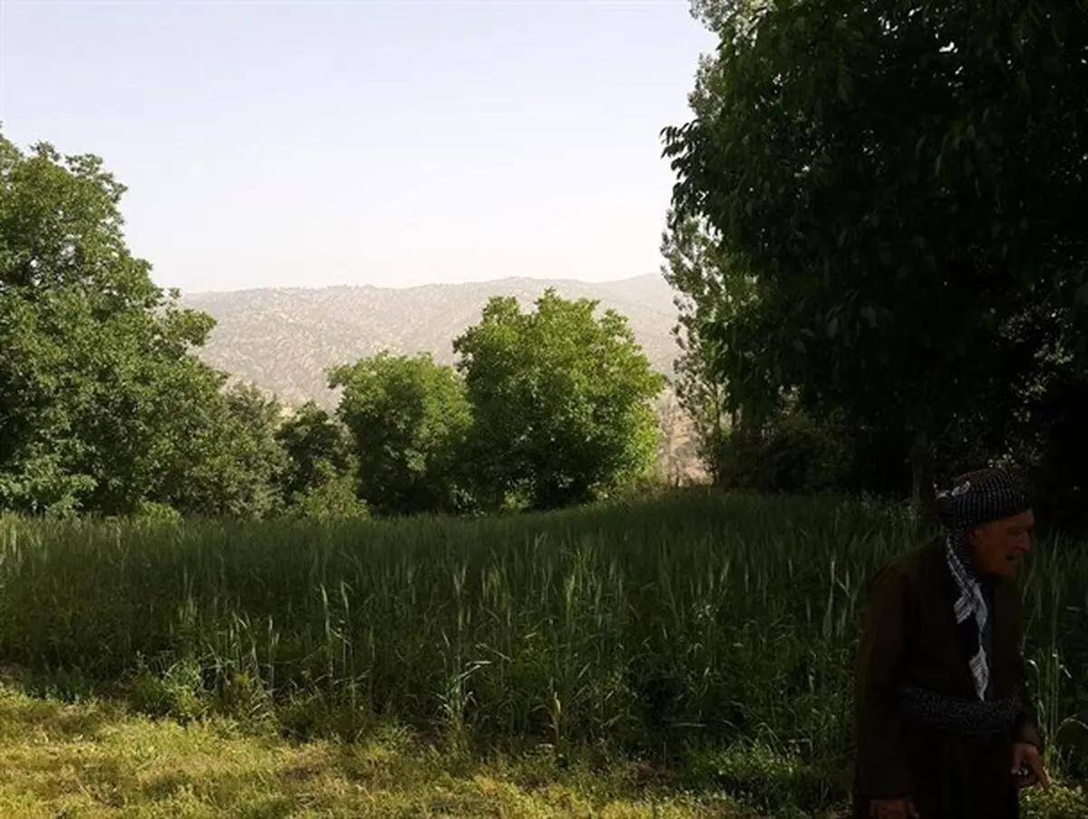 ثبت یک وقف جدید در بانه بعد از دو سال