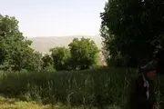 ثبت یک وقف جدید در بانه بعد از دو سال