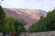تاکنون خسارت خاصی از سیل فیروزکوه گزارش نشده است 