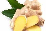 زنجبیل گزینه مناسب برای درمان بیماری التهاب روده
