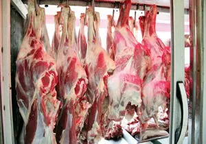 ریشه اختلال در بازار گوشت