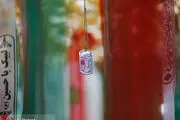 این شهید 2 مزار دارد