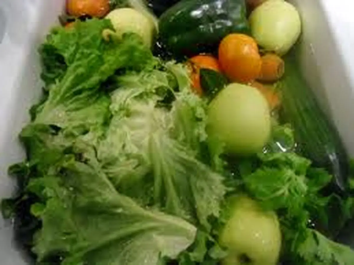 کاهش انتشار گازهای گلخانه ای با رژیم گیاهخواری