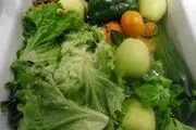 کاهش انتشار گازهای گلخانه ای با رژیم گیاهخواری