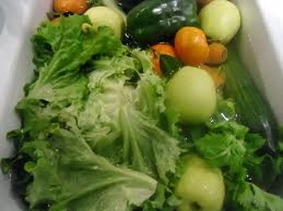 کاهش انتشار گازهای گلخانه ای با رژیم گیاهخواری